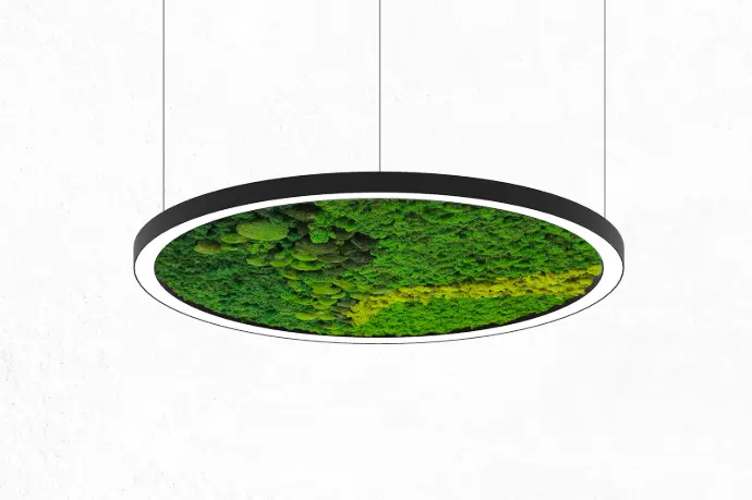 Soluciones Corvus System