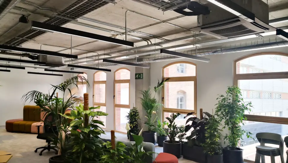 Iluminación LED en zona verde interior de las oficinas KNEM, diseño lumínico natural de Luxes.