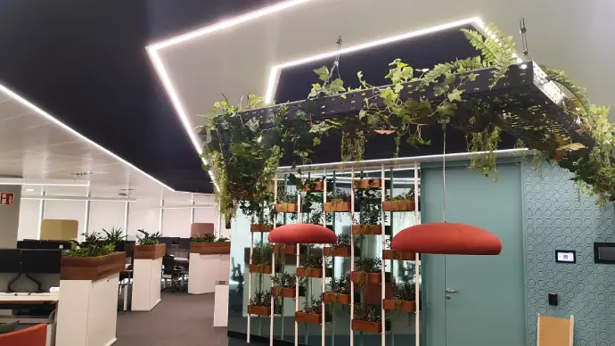 Oficina con estructura vegetal iluminada